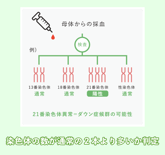 トリソミー検査