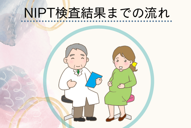 NIPTの検査結果までの流れ